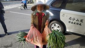 偷菜,洗門風,口角,賣菜