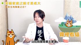 ▲圖／翻攝自PetTalk官網