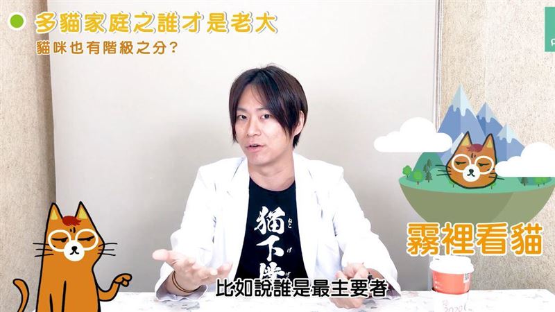多貓家庭誰才是老大！貓也有階級之分