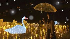 名家專用／台灣旅行趣（勿用）