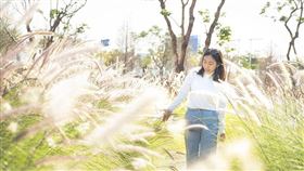 名家專用／台灣旅行趣（勿用）