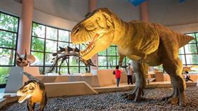 名家專用／台灣旅行趣（勿用）