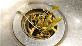 哈密瓜 發芽 (圖／翻攝自Dcard)