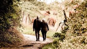 夫妻 公婆 恩愛 放閃 公公 婆婆 老夫妻（示意圖／翻攝自pixabay）