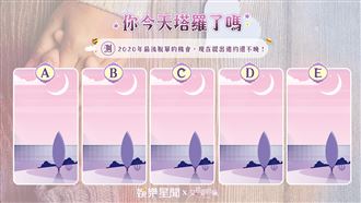 今日塔羅／2020年最後脫單的機會