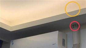 蚊子,針孔攝影,偷拍,影像(翻攝自 Dcard)