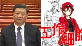 人氣b日本動漫作品《工作細胞》將在2021年1月發表最終大結局，而作者竟然將武漢肺炎病毒，設定為最後的「大反派」(示意圖/翻攝資料照、維基百科)