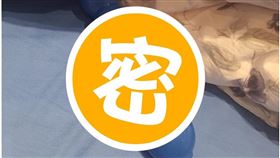 翻攝爆廢公社二館