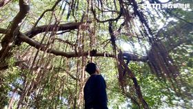 中山大學西子灣柴山秘境海灘