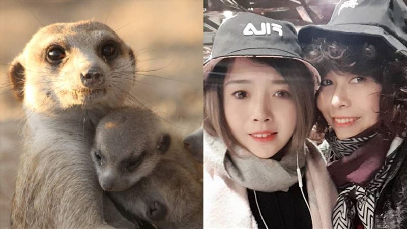 她拍到可愛狐獴卻深藏對逝去女兒的愛