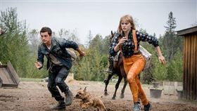 名家專用／iLOOKER電影網（勿用）