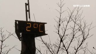 民眾上山追雪　「這3處」賞雪機會大