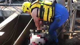 彰化,豬隻汙水處理槽,CPR急救(圖/翻攝畫面)