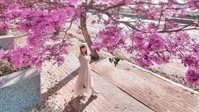 名家專用／台灣旅行趣（勿用）