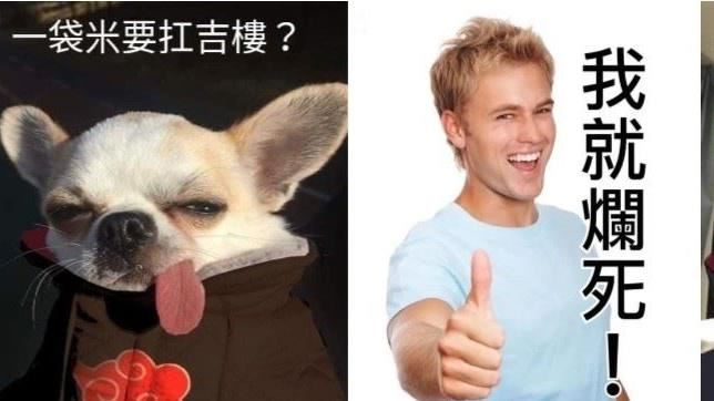 2020年超熱門的迷因　你跟上了嗎