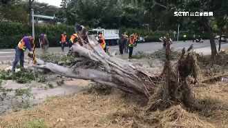 冬天版颱風釀災　全台發布強風警報