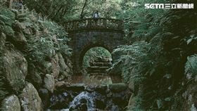 虎山秘境／10年閨密奔信義區看小橋流水！光是起點就贏了（圖／記者戴玉翔攝影）