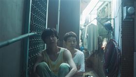 日本,燕,台灣,取景,高雄。（圖／希望行銷提供）