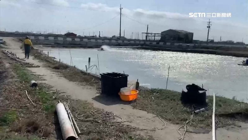 全台急凍！魚塭防寒「7招」快做