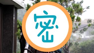 李國毅化身黑馬王子 畫面帥到像夢境