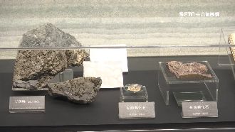 科學結合藝術　微化石展現大自然神奇