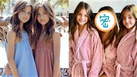 三姊妹,雙胞胎,姊妹,美麗,賺錢,模特兒,基因