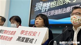 性侵犯,強制治療,釋憲,大法官,葉毓蘭,國民黨 圖／葉毓蘭辦公室提供