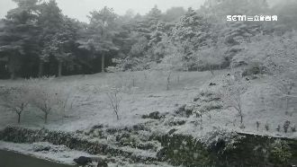 向陽遊樂區飄冰霰　山友見美景歡呼