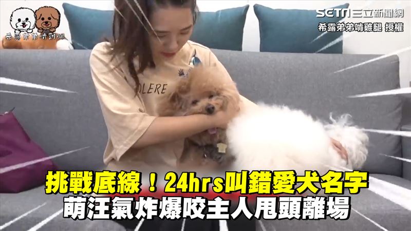 一整天叫錯愛犬名字　牠爆氣咬主人