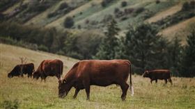 名家專用／草根影響力新視野（勿用）