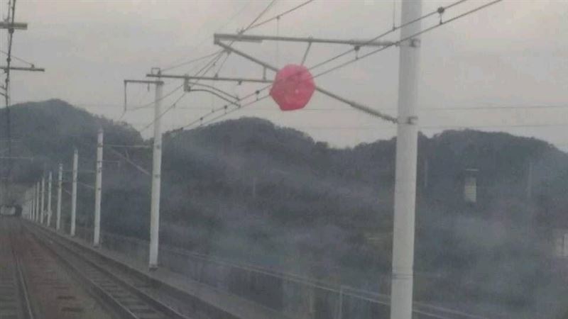 高鐵列車延誤　竟是因大氣球纏電車線