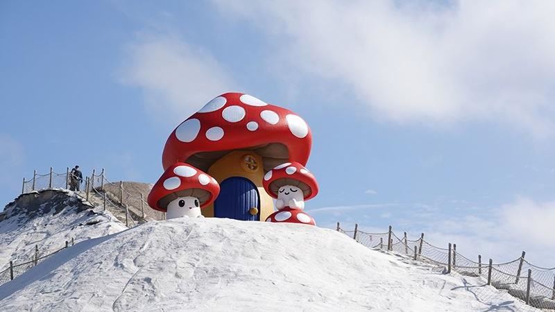 巨大菇菇現身雪白鹽山　宛如雪地精靈
