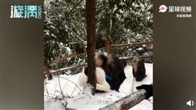 大聖爺變了？！兩女上山遇猴群包圍、慘遭扒衣啃頭（圖／翻攝自漩渦視頻微博）