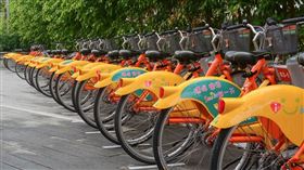 名家專用／Money錢（勿用）