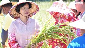 彰化縣長王惠美, 吃喝玩樂, 彰化優鮮, 健康豬, 秘境, 旅遊, 二水, 田尾（圖／彰化縣府提供）