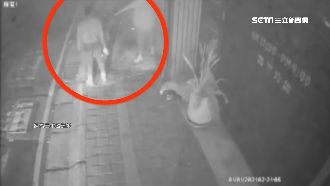 續攤問題起口角　醉女街頭亂噴滅火器