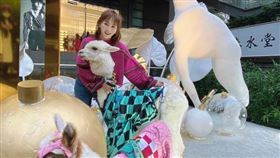 王宥忻趕搭風潮將家中兩隻草泥馬扮成「鬼滅風」。（圖／固力狗娛樂供）