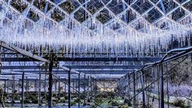 武陵農場,冰柱,低溫,澆灌,（圖／翻攝自武陵農場 Wuling Farm臉書）