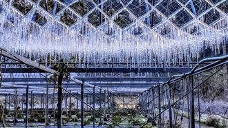 超美！武陵農場「冰晶簾冰柱」網讚翻