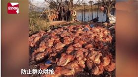 中國,廣東,河川,肉,新冠病毒（圖／翻攝自微博）