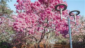 名家專用／台灣旅行趣（勿用）