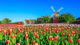 名家專用／台灣旅行趣（勿用）