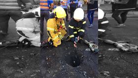 瓦斯,高雄,洩漏,經發局,消防