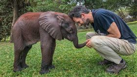 電影,BBC,完美星球,A Perfect Planet,危機,地球,人類。（圖／BBC STUDIOS提供）