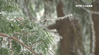 週四又有寒流報到　威力比跨年夜更強