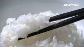 「1飲食法」穩血糖　專家：白飯不用戒