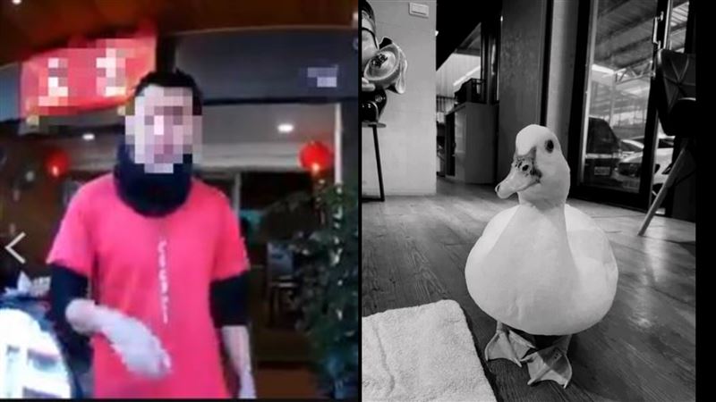富王貼黑白鴨照道歉　169字揭隱情