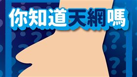 國民黨控天網獨裁（圖／翻攝自國民黨臉書）