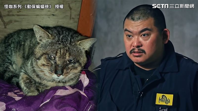 直搗煉獄救毛孩　動保界館長爆真相