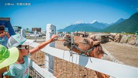 根據痞客邦統計，花蓮「崇德瑩農場」是2020年爆紅的新景點之一。圖/痞客邦部落格「小咪ma．吃喝玩樂趣」提供。